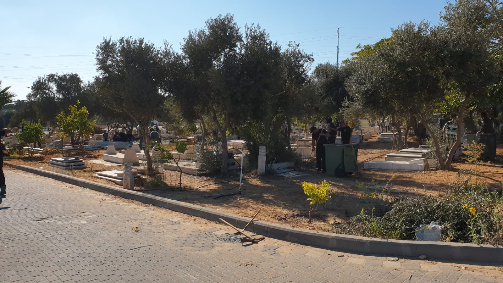 WhatsApp Image 2020-10-17 at 2.31.50 PM.jpeg.jpeg